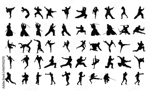 Set of Silhouettes of Martial Arts