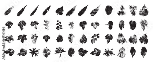 Set of Texture Leaves