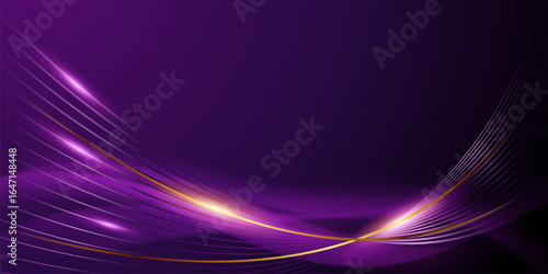 purple abstract background with luxury elements vector illustration