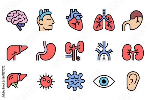 Human anatomy organ icon set, brain heart lungs stomach kidney liver eye ear vector, medical education illustration, healthcare infographic elements