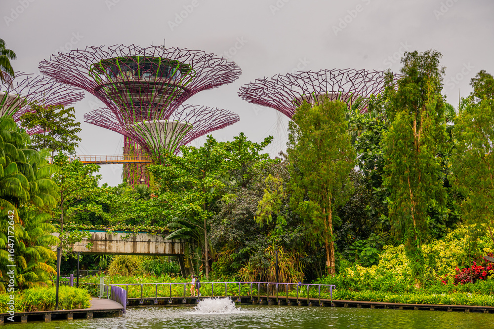 Fototapeta premium Supertrees at Gardens by the Bay. The tree structures are fitted with environmental technologies