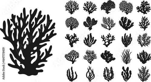 Collection of coral reef silhouettes, marine plants, underwater seaweed, tropical ocean flora, aquatic ecosystem elements, black vector coral designs