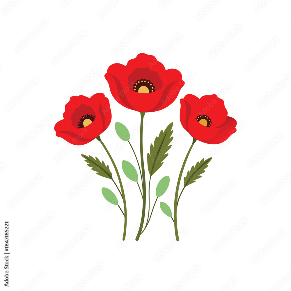 Obraz premium Three red poppy flowers isolated on white background