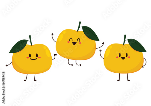 Persimmon cartoon vector. Persimmon character on white background.