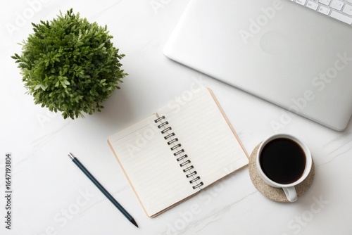 Desk with Green Plant Corner: Flat lay of a small green plant, notebook, coffee mug, and laptop with plenty of white space