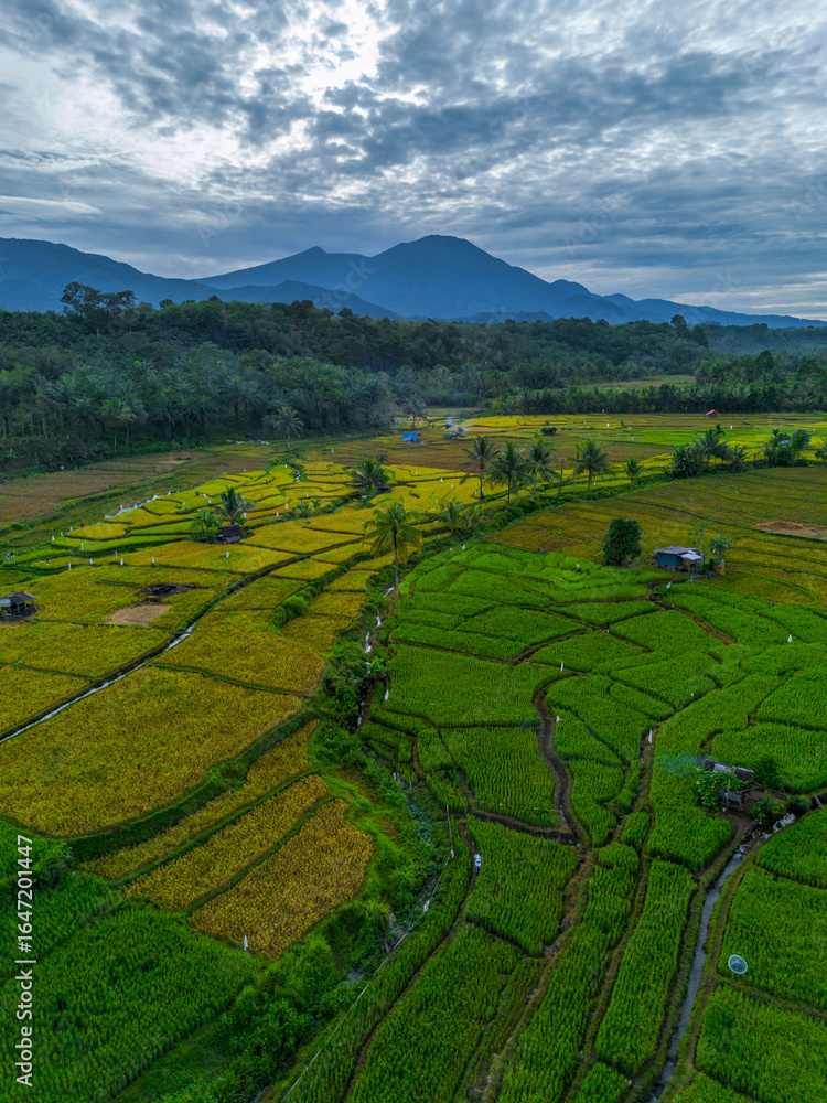 Obraz premium Beautiful morning view indonesia panorama landscape forest with beauty color and sky natural light