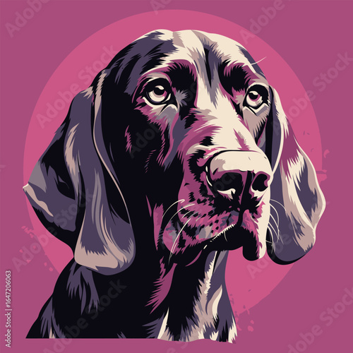 Bloodhound dog portrait. Vector illustration in pink background.