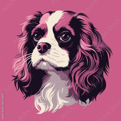 cavalier king charles spaniel dog portrait. Vector illustration in pink background.