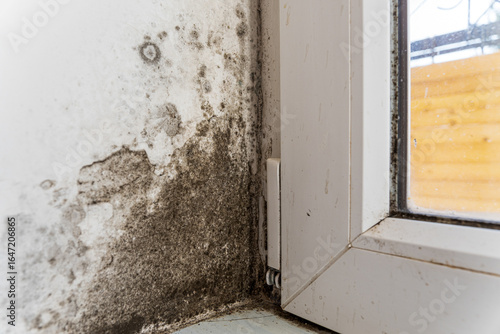 Black mold and mildew grow on a white painted wall beside a window frame. The mold infestation appears to be due to moisture and water damage