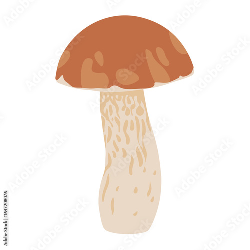 Birch bolete mushroom. Boletus vector illustration. Edible mushroom. Autumn forest bolete mushroom. Flat simple fall plant food illustration on a white background.