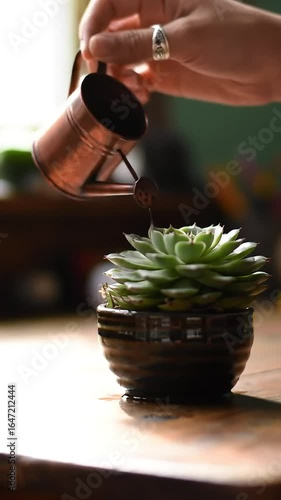 Close-up of a hand gently watering a small desk plant with a charming miniature watering can, fostering growth and tranquility.