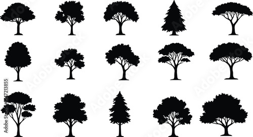 Silhouette tree vector collection, deciduous and conifer designs, nature elements for landscape illustration, black isolated tree bundle, botanical clipart set