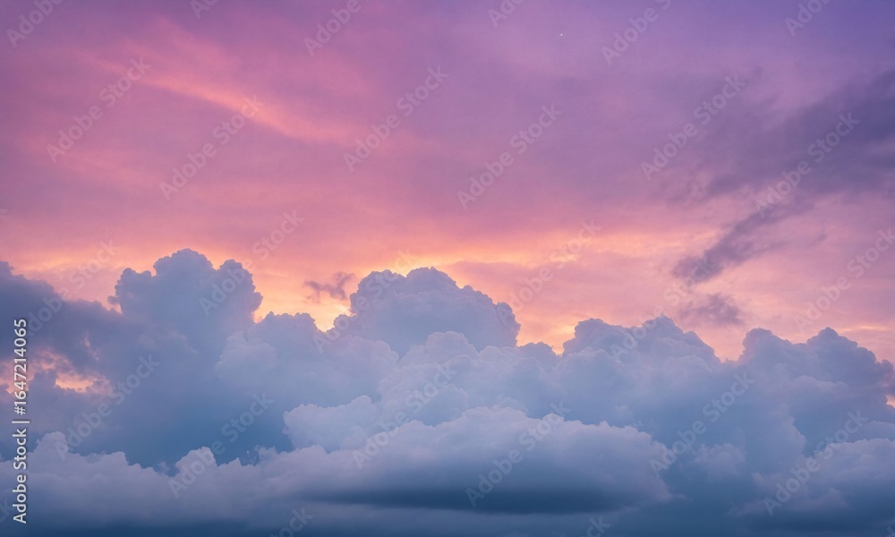 Fototapeta premium 空