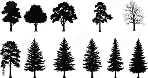 Set of different tree silhouettes, black isolated deciduous and coniferous trees, perfect for landscape design, forest scene, nature art, and illustration