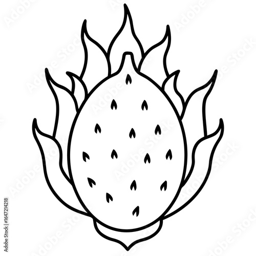 Elegant minimal dragon fruit line art design