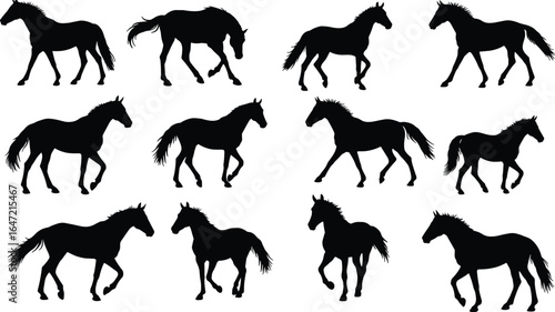 Set of twelve black horse silhouettes, various horse poses, vector illustration, wild and domestic horses, equine clipart, nature, farm animals, running, walking, trotting