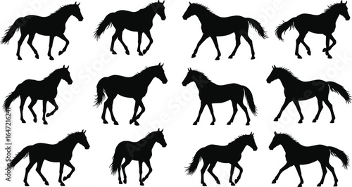 Set of black horse silhouettes in various walking and trotting poses, horse vector collection, animal shapes, nature, wildlife design elements for creative projects