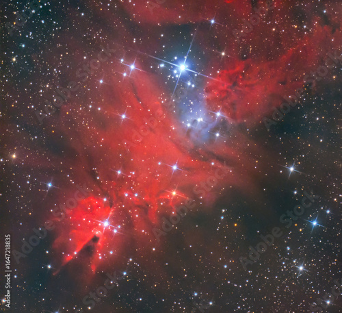 NGC 2264 - Konusnebel (Weihnachtsbaumnebel) in Bi-color