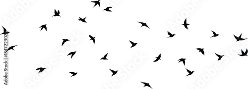 Flying bird silhouettes in sky vector, flock formation movement, wildlife freedom illustration, black birds artwork, peaceful migration pattern, nature minimal design