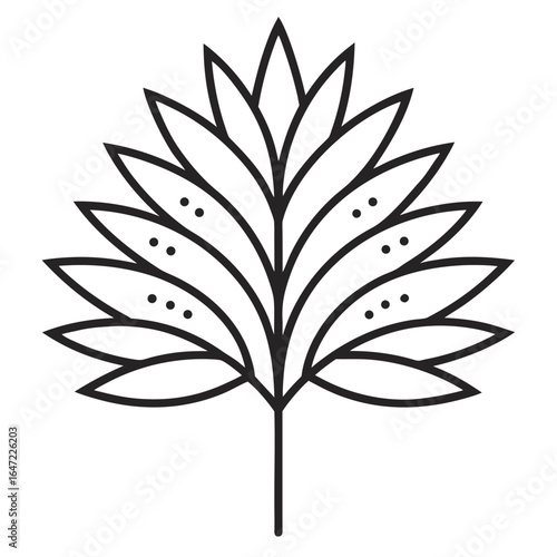 tamarix aphylla  line art vector on white background