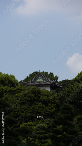 Nature, Japan.