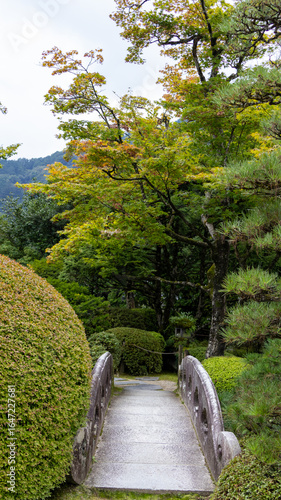 Nature, Japan.