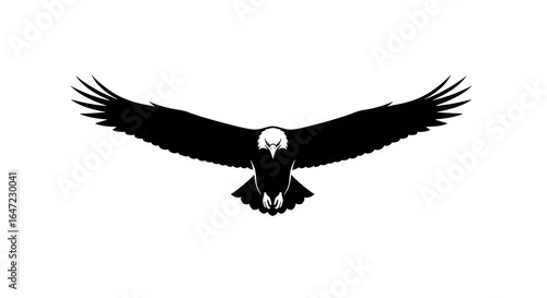 Soaring eagle silhouette illustration