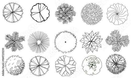 Tree Top View and Leaf Icon Vector Set Botanical and Landscape Design  vector illustrations on a white background.	
