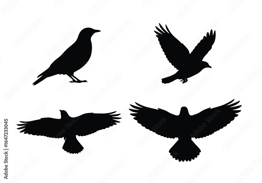 Obraz premium Black bird silhouettes collection, including crows and ravens, in various flying and perched poses, isolated on a white background