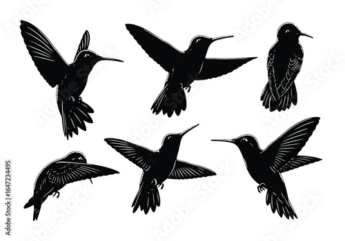 Collection of black hummingbird silhouettes in various flying poses, isolated on a white background