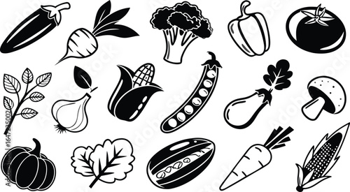 Fresh organic vegetables collection for healthy eating and culinary inspiration
