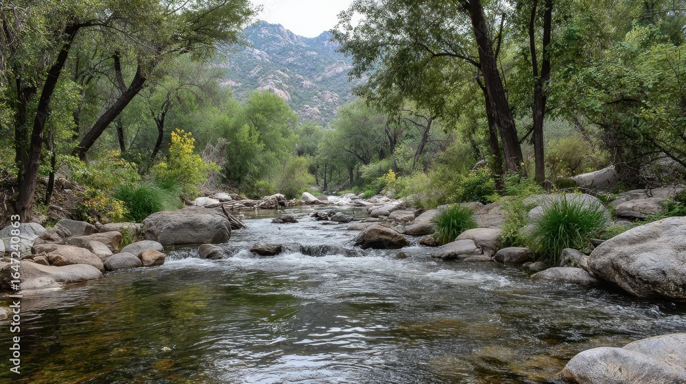 Arizona Stream. Flowing Creek in Sabino Forest Landscape with Mountain View Arizona Stream. Flowing Creek in Sabino Forest Landscape with Mountain View