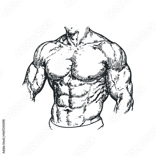 Muscular male torso with detailed abdominal muscles and broad shoulders rendered in a classic woodcut style