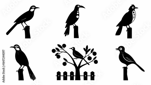 Silhouette illustrations of birds perched on posts and a bird in a tree with a fence line