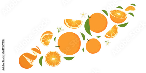 Fresh orange fruit whole and slices with leaves falling flying isolated on white background. Fruits collection.