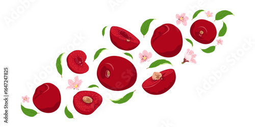 Fresh cherry whole and slices with leaves and flowers falling flying isolated on white background. Fruits collection.