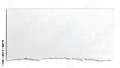 A crisp white paper strip featuring a rough, jagged bottom edge, ready for your message or design.