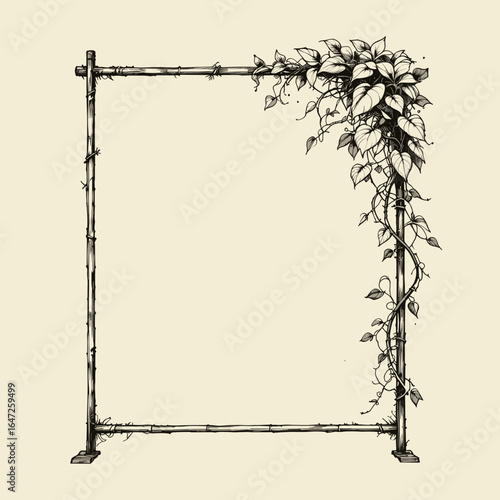 Black and white illustration of a garden trellis with climbing plants in a minimalist style