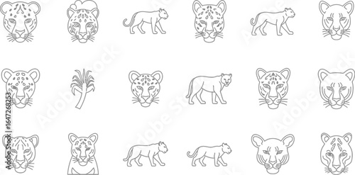 Collection of leopard and jaguar illustrations, showcasing various poses and expressions of these majestic wild cats in detailed sketches