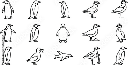 Collection of penguin and seagull icons, depicting various species in simple line art, ideal for projects related to wildlife and marine life