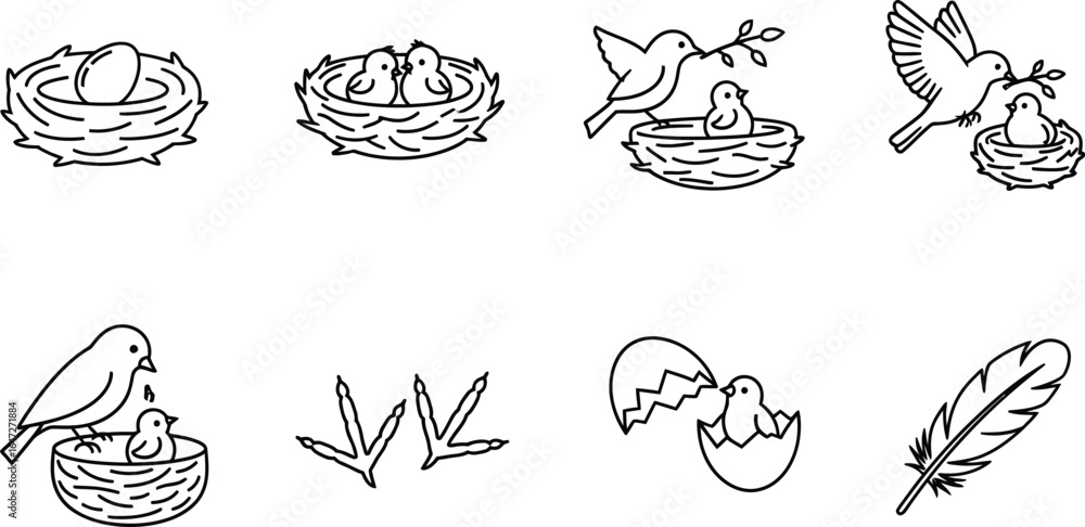 Obraz premium Collection of bird nest with eggs and chicks, bird footprint, and feather hand drawn vector illustration in doodle style for design element