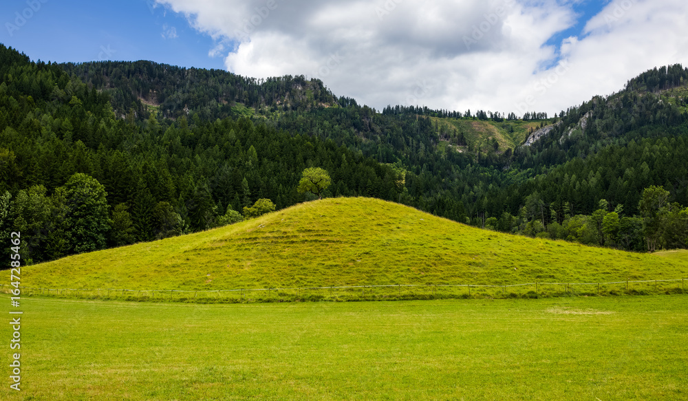 Obraz premium alpine meadow landscape with green hill and lone tree on the hilltop on forested mountain backdrop. artistic background with alpine