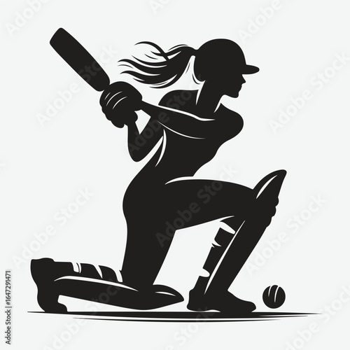 silhouette of a professional cricket player