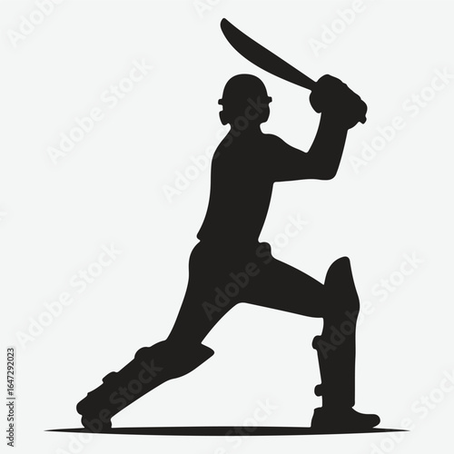 silhouette of a professional cricket player