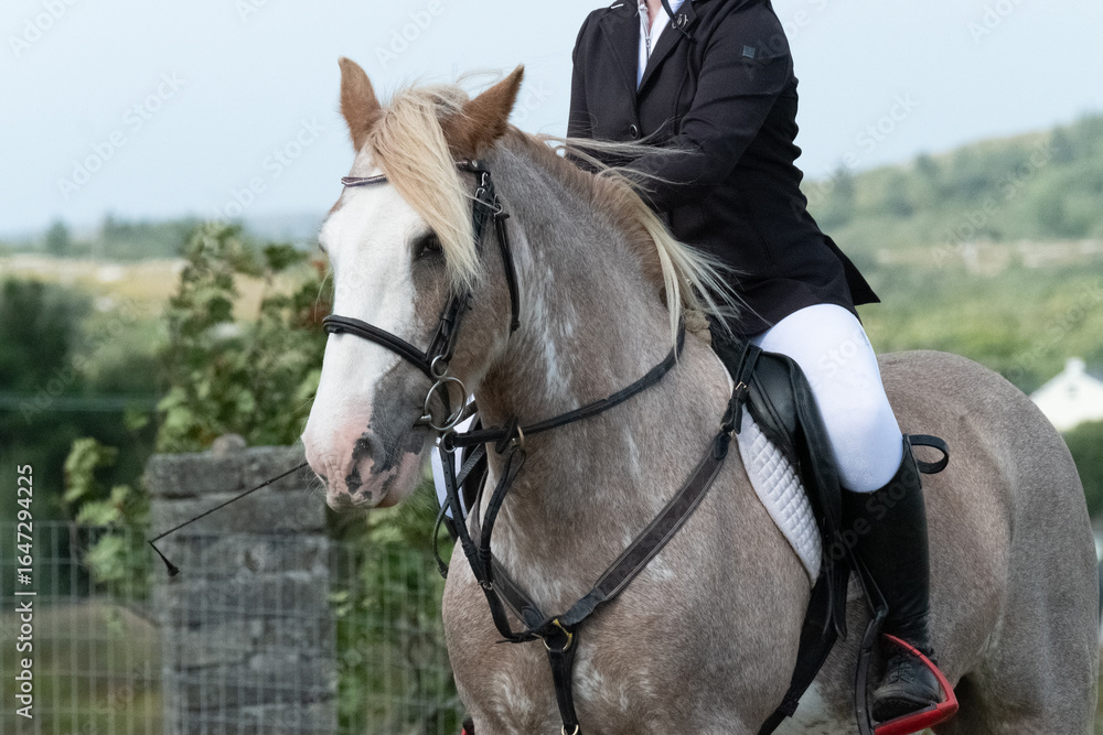 Obraz premium Riding in the highlands of County Donegal m- Ireland