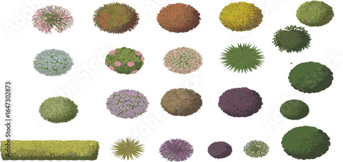 PrTop view of various decorative plants, colorful shrubs, blooming bushes, ornamental foliage, garden landscaping elements, isolated greenery for design projectsint