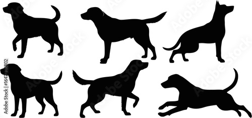 Six black silhouettes of dogs in various poses, including standing, sitting, and running, displayed against a clean white background; a collection of monochrome canine vector illustrations