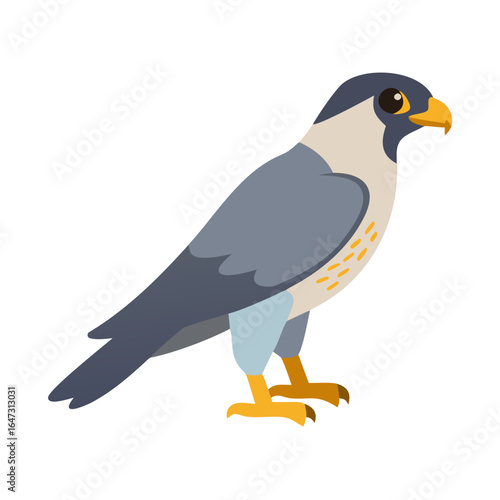 A peregrine falcon, side profile, bold colors.
