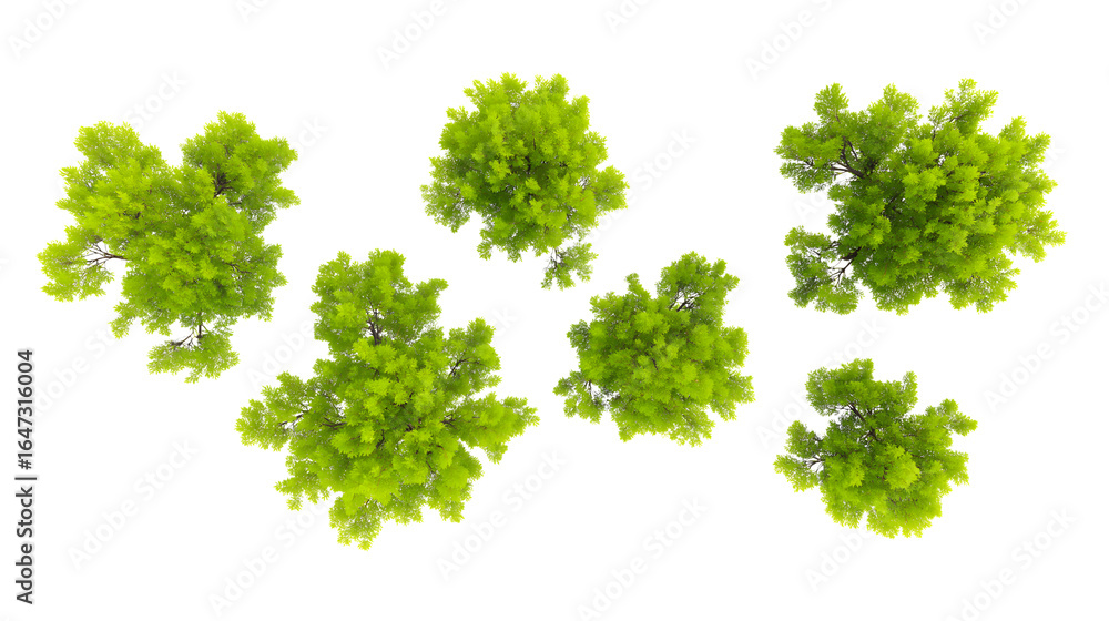 Fototapeta premium vibrant collection of top view green trees isolated on white background