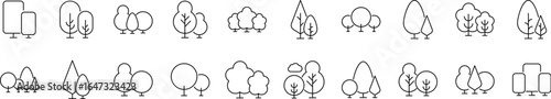 Pack of Wood Related Line Icons. Trees Outline Signs for Graphic and Web Design, Apps, Adverts, Various Cards